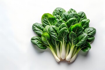 Tatsoi on White Background