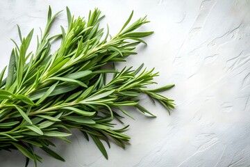 Tarragon on White Background
