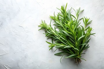Tarragon on White Background