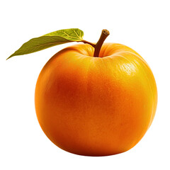 Single apricot fruit isolated on transparent background
