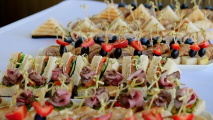 Gourmet mini sandwiches, savory bites, and colorful fruit skewers neatly plated, displaying elegant catering selection for professional event