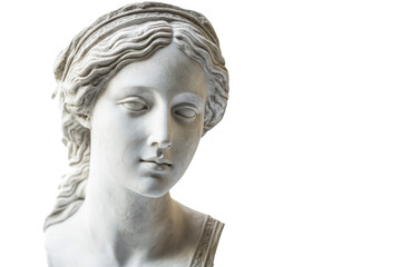 Obraz premium A gypsum copy of an ancient Venus statue head showcasing classical art and beauty isolated on a white background