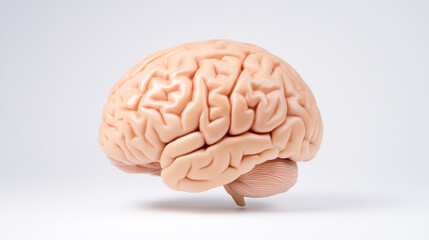 RankBrain. IT.
