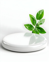 Empty Product Display with Green Leaves