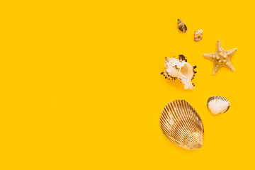 To do list or blank notebook with set of starfish, sea shell on blue background. Travel, summer vacation or weekend, packing plan. lat lay, top view, copy space, place for text, minimal composition