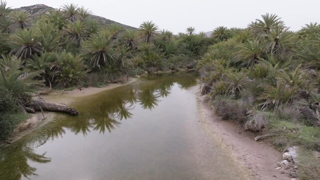 Crete Vai Beach Aerial View