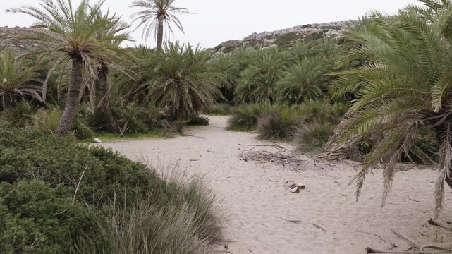 Crete Vai Beach Aerial View