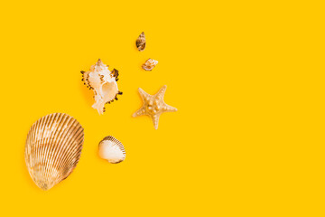 Composition with isolated sea shell on yellow minimal background. Summer frame concept, travel vacation pattern. Ocean shells, marine set. Flat lay, top view, place for text, copy space banner