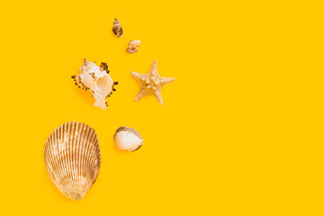 Composition with isolated sea shell on yellow minimal background. Summer frame concept, travel vacation pattern. Ocean shells, marine set. Flat lay, top view, place for text, copy space banner