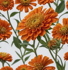 orange flowers