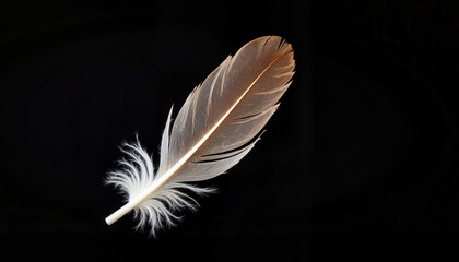 Obraz premium Feather gracefully falling through air in studio setting, motion capture