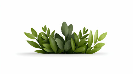 Obraz premium Lush Green Foliage Arrangement Against White Background
