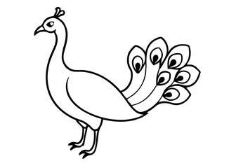 Peacock Elegance: A captivating black and white line drawing showcases a graceful peacock, exuding elegance with its iconic plumage. 