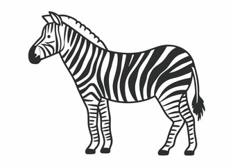 Zebra Illustration: A striking illustration of a zebra, showcasing its iconic black and white striped pattern. This image is a versatile graphic that can be used for various design projects.
