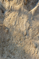 Close-up texture of natural sandy surface with subtle shadows and light