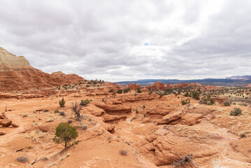Utah State and National Parks