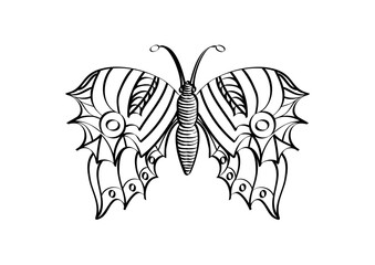 papillon