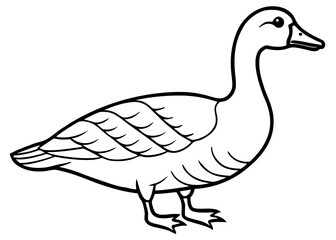 Obraz premium Outline of a Majestic Goose: A clean-lined, black and white illustration of a graceful goose, its form and details expertly rendered.