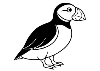 Puffin in silhouette: A charming puffin rendered in a bold black and white silhouette, embodying simplicity and elegance, perfect for various design applications.