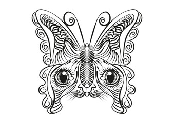 papillon chat 