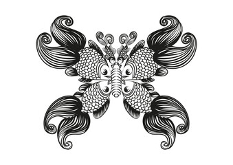 Papillon Poissons le 25 02 2025 