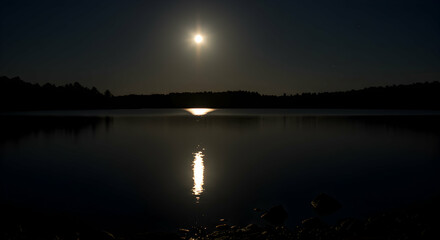 Obraz premium Moonlit Lake Reflection at Night with Dark Forest Silhouette Serenity