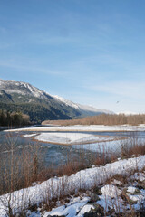 Brackendale Eagle Run Vista Point along the Squamish River during a winter season in Squamish, British Columbia, Canada
