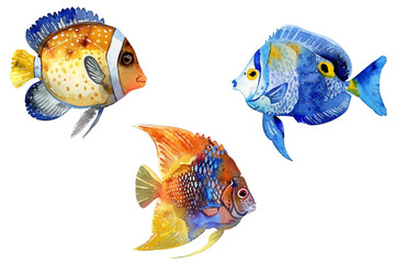 Three tropical fish vector illustration in mesmerizing blend of colors. © SunwArt
