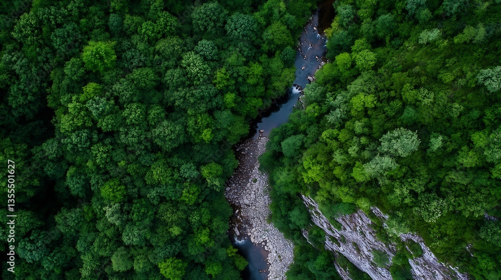 Poster stunning aerial view of a lush forest with a winding river flowing through the greenery : generative