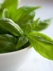 Obraz premium Freshly harvested basil leaves in a white bowl highlighting their vibrant green color and glossy texture : Generative AI