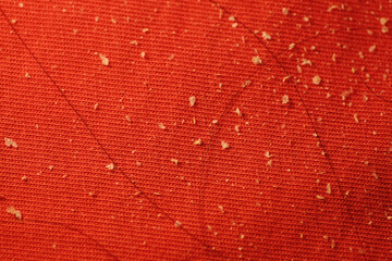 Dandruff and hair loss on red shirt