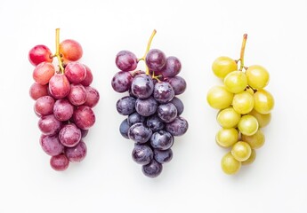 Fototapeta premium Fresh grapes in three colors