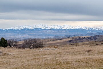 Fototapeta premium Mountains covered in snow visible from a golden field under overcast sky