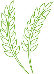 Wheats ears icon and wheat design elements flat line vector  isolated on transparent background. Harvest wheat grain, growth rice stalk and whole bread grains or field cereal nutritious.