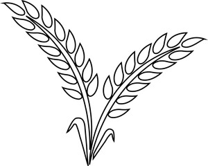 Wheats ears icon and wheat design elements flat line vector  isolated on transparent background. Harvest wheat grain, growth rice stalk and whole bread grains or field cereal nutritious.