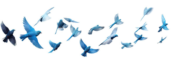 Flock of blue birds flying on transparent background