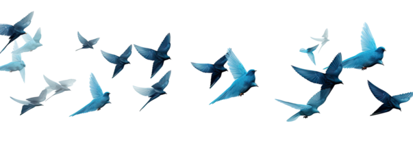 Flock of blue birds flying on transparent background