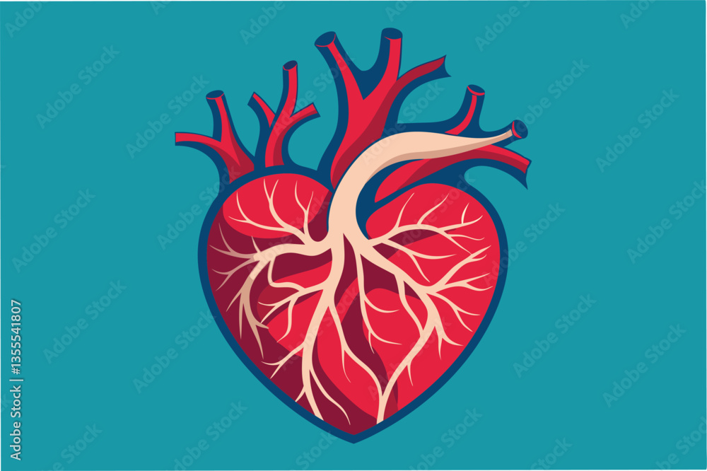 Poster detailed vector illustration of a human heart showing arteries and veins on a minimal background in 