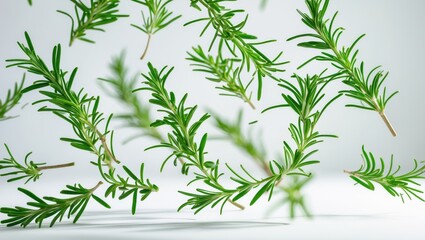 Fresh green rosemary herb cascading through the air, isolated against a white background.