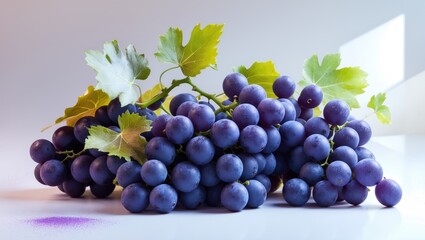 Fototapeta premium Collections of Ripe Grapes with Leaves, Set Against a White Background