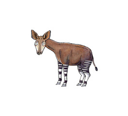 オカピ © 広瀬孝二