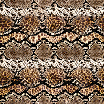 animal and abstract pattern work, snake and leopard skin mixed patterns, patterns suitable for fabric print and background.Abstract artistic background. modern Art feathers leopard pattern and repeat 