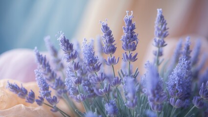 Obraz premium Elegant lavender flowers arranged on a soft pastel backdrop.