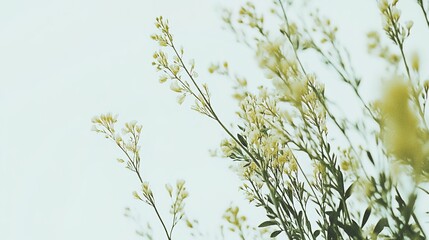 Soft watercolor flowers in pastel hues, evoking gentle beauty and serenity.
