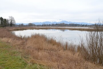 Serene marshland scenery, tall grass shore reflecting cloudy sky. Mountain range in background, nature's peaceful scene