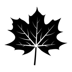 maple leaf icon vector 