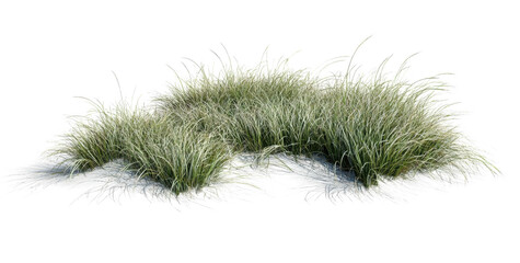 PNG Grassland shrub landscape vegetation background isolated.
