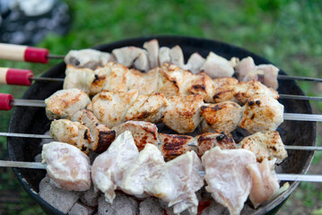 Skewers with pieces of meat being grilled over hot charcoal on a barbecue grill. Some meat partially cooked, other pieces look raw. Skewers have wooden handles with red accents. Outdoors. Green grass.