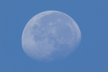 Blanca Luna  de dia, en hermoso cielo azul.