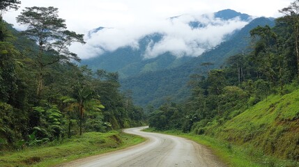 Naklejka premium A hidden forest road deep in the mountains, lined with thick green trees and mist-covered peaks